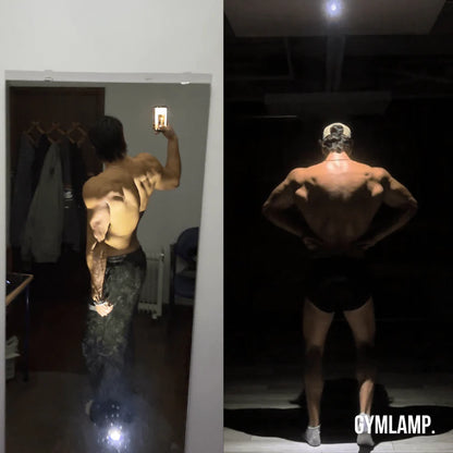 Professional GYMLAMP.™